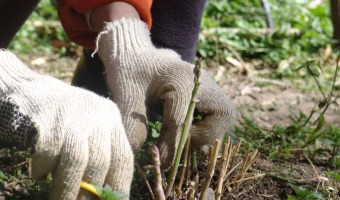 Se realiza una nueva entrega de semillas del programa Pro-Huerta