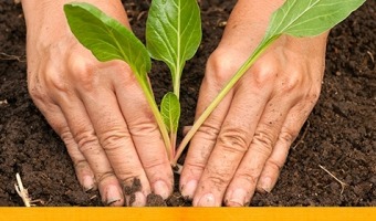 Charlas y entrega de semillas otoo invierno