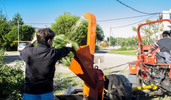 Se realiz una jornada de limpieza, poda y chipeo en Las Gaviotas