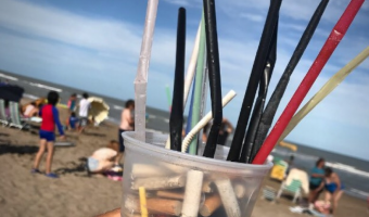 Ambiente: comenzar la etapa de reduccin de la utilizacin y entrega de sorbetes y vasos plsticos.