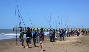 Con casi 1000 pescadores se realiz la 21 fiesta de la Brtola