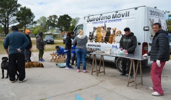 EL QUIROFANO MVIL DE ZOONOSIS LLEGA A LA CARMENCITA