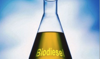 Se contina trabajando en pos del Biodiesel