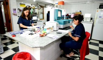 APOSTAMOS A LA SALUD Y SUS PROFESIONALES