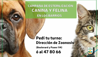 ESTERILIZACIONES DE MASCOTAS EN LOS BARRIOS