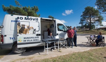 FUERTE TRABAJO DE ZOONOSIS EN ESTERILIZACIONES Y COMIENZA LA NUEVA CAMPAA EN LOS BARRIOS