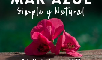 LA SECRETARA DE TURISMO REALIZAR EL TALLER IMPLEMENTACIN DE LA MARCA DESTINO MAR AZUL SIMPLE Y NATURAL Y REDES SOCIALES