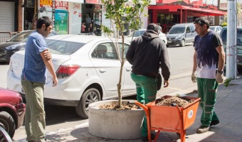 SE CONTINA EMBELLECIENDO LA AVENIDA 3