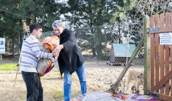 La Comuna duplic la entrega de alimentos a las protectoras de animales