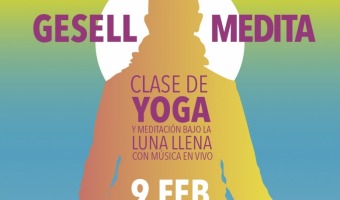GESELL MEDITA