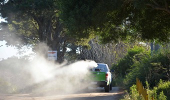 TRABAJOS PARA PREVENIR EL MOSQUITO DEL DENGUE