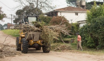 CONTINA LA RECOLECCIN DE RESTOS DE PODA