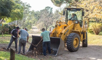 LOS CORRALONES MUNICIPALES AVANZAN CON LA RECOLECCIN DE PODA