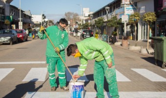 LA DIRECCIN DE TRNSITO TRABAJA EN EL MANTENIMIENTO DE SENDAS PEATONALES