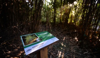 SE RENOV LA SEALTICA EN EL SENDERO DEL PINAR HISTRICO