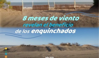 8 MESES DE VIENTO REVELAN EL BENEFICIO DE LOS ENQUINCHADOS