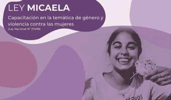 SE APROB LA ADHESIN MUNICIPAL DE LA LEY MICAELA