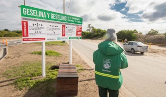 INICIATIVAS FRENTE A LA PANDEMIA