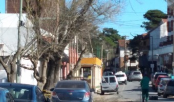 CONTINAN LOS TRABAJOS DEL VIVERO MUNICIPAL