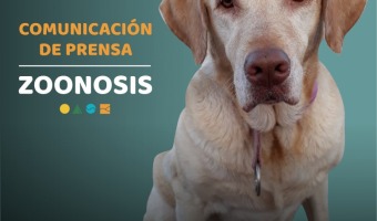 ZOONOSIS REALIZAR UNA JORNADA DE CASTRACIONES EN MAR AZUL