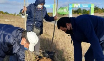 EL VIVERO MUNICIPAL Y EL ROTARY CLUB REALIZARON UNA JORNADA DE REFORESTACIN