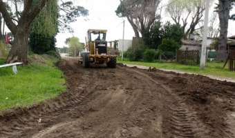 EL CORRALN MUNICIPAL CONTINA CON EL MANTENIMIENTO DE LA CIUDAD