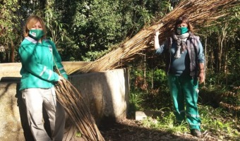 EL VIVERO REALIZAR LA ENTREGA ANUAL DE VARAS DE LAMOS