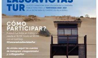 CONCURSO FOTOGRFICO DESCUBR LAS GAVIOTAS