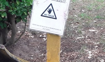LA DIRECCIN DE BROMATOLOGA Y LA DIRECCIN DE ZOONOSIS TRABAJAN EN LAS LARVITRAMPAS