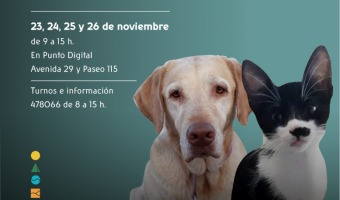 LA DIRECCIN DE ZOONOSIS PROGRAMA SUS PRXIMAS JORNADAS DE CASTRACIONES