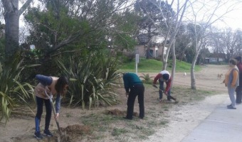 Frutales en los espacios verdes de  Villa Gesell