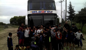 Pequeos geselinos viajaron a Mar de Ajo