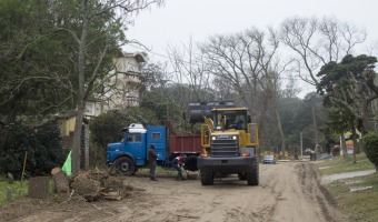 AVANZAMOS CON LA LIMPIEZA Y MANTENIMIENTO DE VILLA GESELL