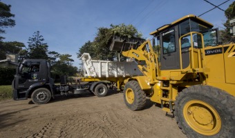 SE RECOLECTARON 1400 CAMIONADAS CON RESTOS DE PODA EN CUATRO MESES