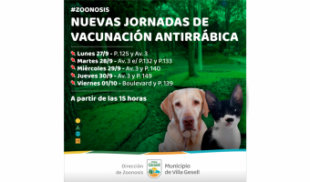 ZOONOSIS: NUEVA CAMPAA DE VACUNACIN Y CASTRACIONES EN MULTIESPACIOS NORTE