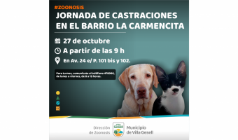 ZOONOSIS REALIZAR ESTERILIZACIONES EN LA CARMENCITA