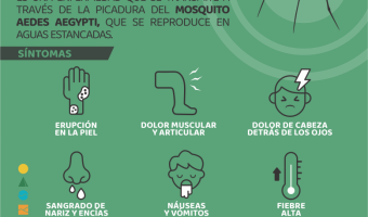 DENGUE: QU TENS QUE SABER PARA SU PREVENCIN