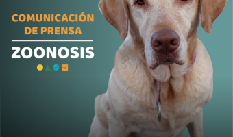 ZOONOSIS CONTINA LA CAMPAA DE VACUNACIN EN MAR AZUL