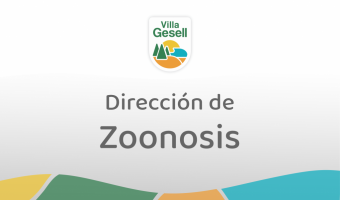 ZOONOSIS REALIZA UN CONTROL DE FOCO PARA REFORZAR LA VACUNACIN ANTIRRBICA