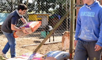 Alimento balanceado para los perritos de Provida y Apaade