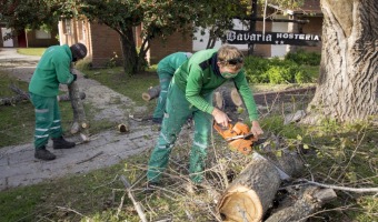 EL VIVERO ABRE LA INSCRIPCIN AL CURSO DE PODA 2022