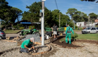 VIVERO AVANZA EN EL MANTENIMIENTO DE ESPACIOS VERDES