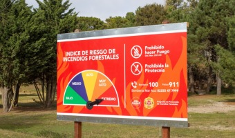 CARTELERA PARA PREVENIR INCENDIOS EN LAS LOCALIDADES DEL SUR