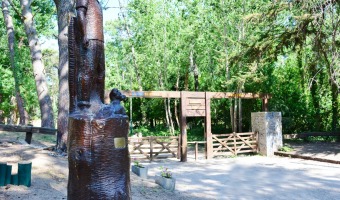 Carlos Gesell vuelve al Bosque