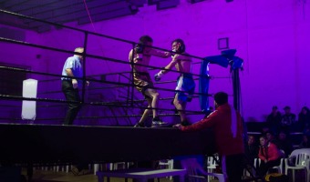 FESTIVAL DE BOXEO EN EL POLIDEPORTIVO MUNICIPAL