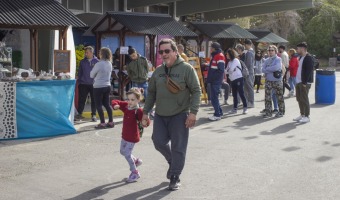 SABOR Y COLOR EN LA PRIMERA FERIA COMUNITARIA DE ALIMENTOS DE VILLA GESELL