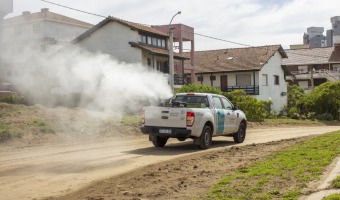 FUMIGACIN CONTRA EL DENGUE EN LAS CALLES GESELINAS