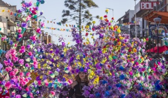 ALREDEDOR DE 2000 PARTICIPANTES EN EL DESFILE DE LAS COLECTIVIDADES E INSTITUCIONES