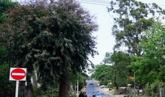 FINALIZ LA OBRA DE PAVIMENTACIN DEL PASEO 104 ENTRE BOULEVARD Y CIRCUNVALACIN