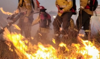 TRAS HORAS DE FUERTE TRABAJO, LOS BOMBEROS APAGARON EL INCENDIO FORESTAL EN LA RESERVA